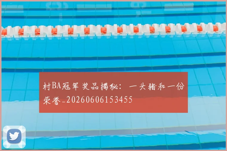 村BA冠军奖品揭秘：一头猪和一份荣誉_20260606153455