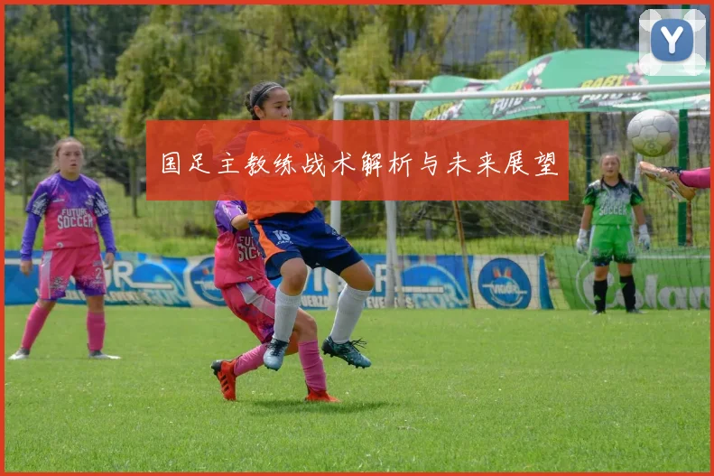 国足主教练战术解析与未来展望